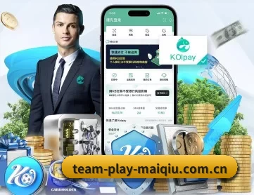 买球站 APP
